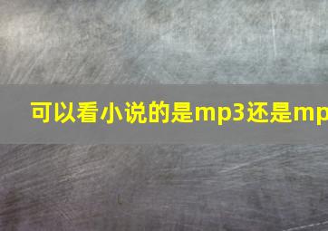 可以看小说的是mp3还是mp4