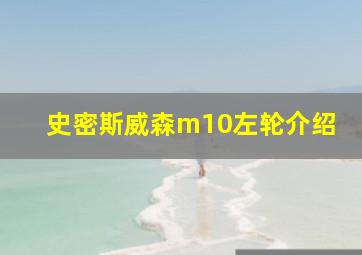 史密斯威森m10左轮介绍