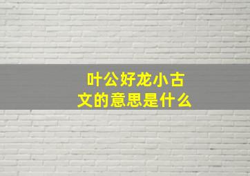 叶公好龙小古文的意思是什么