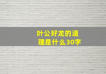 叶公好龙的道理是什么30字