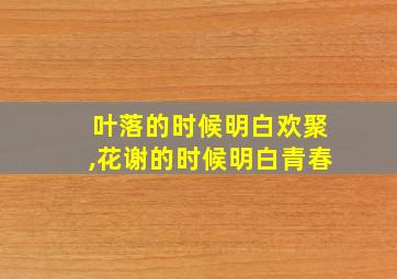 叶落的时候明白欢聚,花谢的时候明白青春