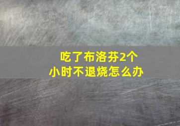 吃了布洛芬2个小时不退烧怎么办