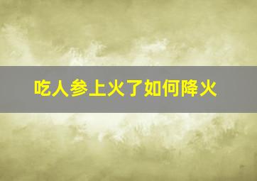 吃人参上火了如何降火