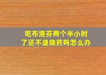 吃布洛芬两个半小时了还不退烧药吗怎么办