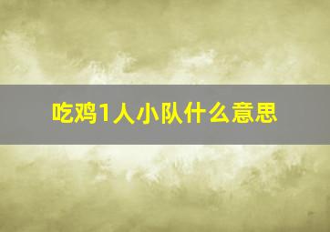 吃鸡1人小队什么意思