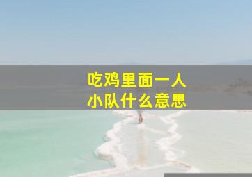 吃鸡里面一人小队什么意思