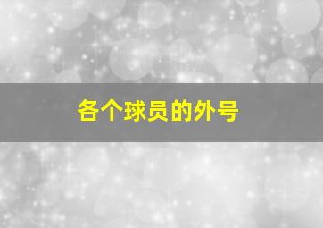 各个球员的外号