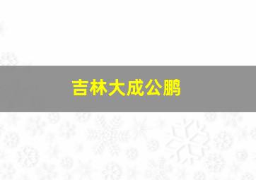 吉林大成公鹏