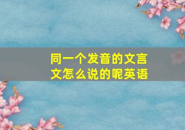 同一个发音的文言文怎么说的呢英语