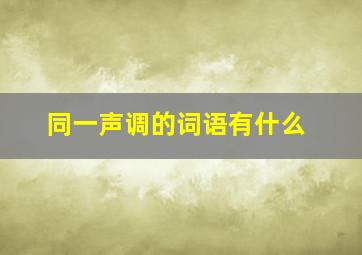 同一声调的词语有什么