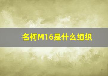 名柯M16是什么组织