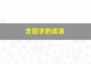 含田字的成语