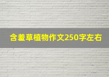 含羞草植物作文250字左右