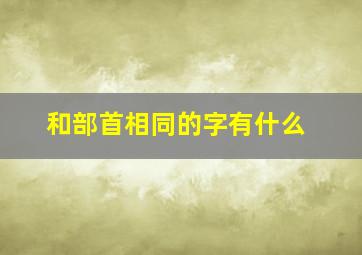 和部首相同的字有什么