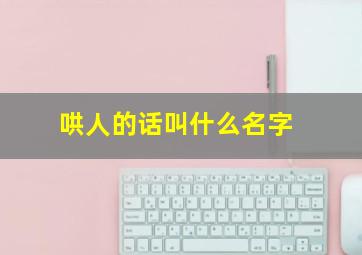 哄人的话叫什么名字