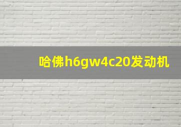 哈佛h6gw4c20发动机