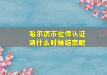 哈尔滨市社保认证到什么时候结束呢