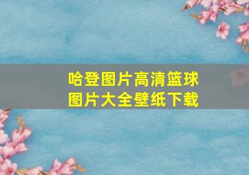 哈登图片高清篮球图片大全壁纸下载