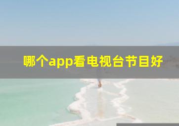 哪个app看电视台节目好