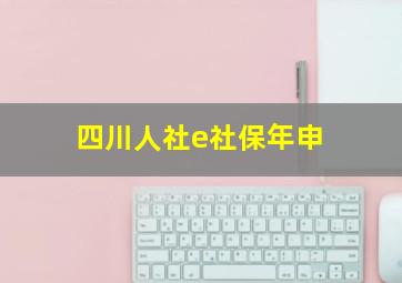 四川人社e社保年申