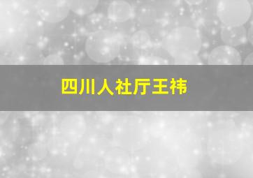 四川人社厅王祎