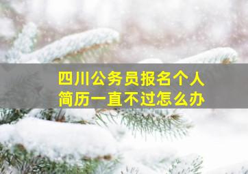 四川公务员报名个人简历一直不过怎么办