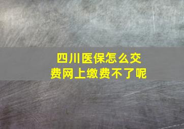 四川医保怎么交费网上缴费不了呢