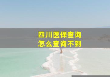 四川医保查询怎么查询不到