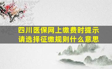 四川医保网上缴费时提示请选择征缴规则什么意思