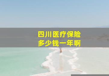 四川医疗保险多少钱一年啊