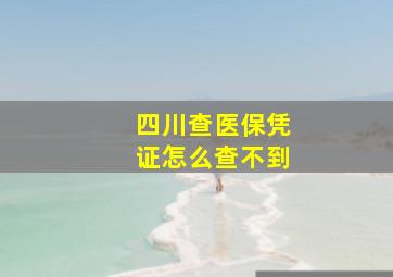 四川查医保凭证怎么查不到