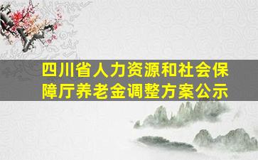 四川省人力资源和社会保障厅养老金调整方案公示