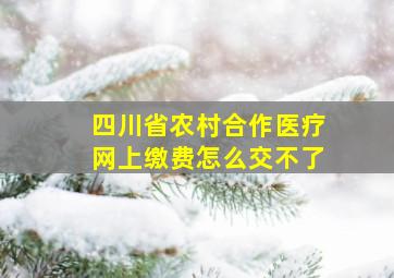 四川省农村合作医疗网上缴费怎么交不了