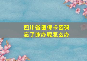 四川省医保卡密码忘了咋办呢怎么办