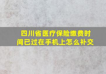 四川省医疗保险缴费时间已过在手机上怎么补交