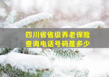 四川省省级养老保险查询电话号码是多少