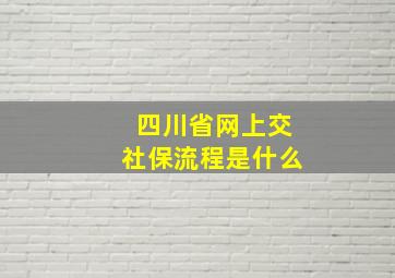 四川省网上交社保流程是什么