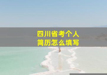 四川省考个人简历怎么填写