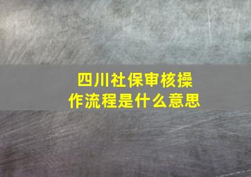 四川社保审核操作流程是什么意思