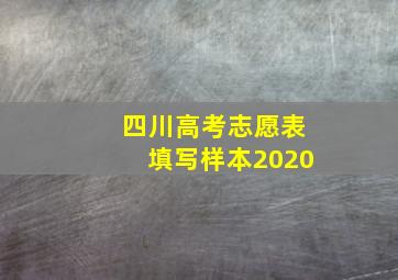 四川高考志愿表填写样本2020