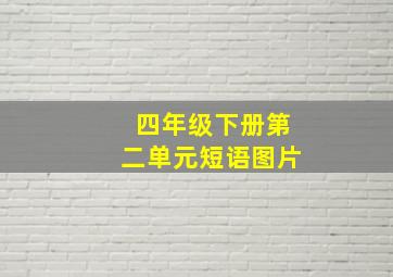 四年级下册第二单元短语图片