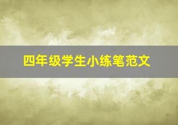 四年级学生小练笔范文