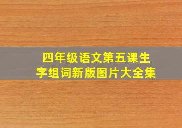 四年级语文第五课生字组词新版图片大全集