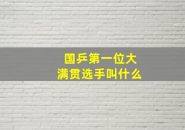 国乒第一位大满贯选手叫什么