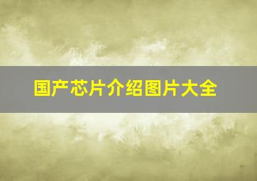 国产芯片介绍图片大全