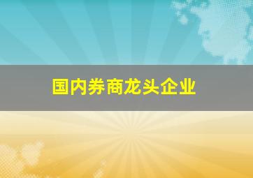 国内券商龙头企业