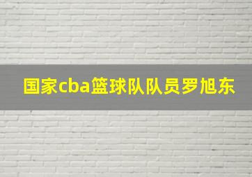 国家cba篮球队队员罗旭东