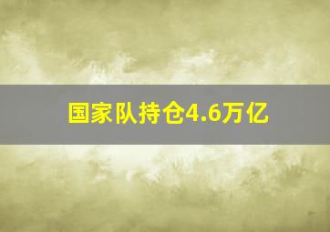 国家队持仓4.6万亿