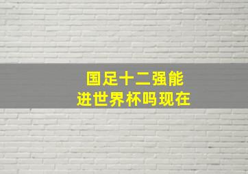 国足十二强能进世界杯吗现在