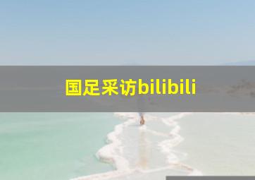 国足采访bilibili